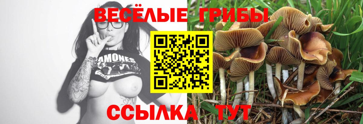 Псилоцибиновые грибы Magic Shrooms Городец